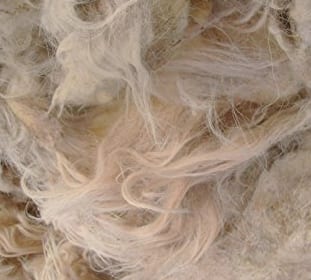 Raw Sheep's wool